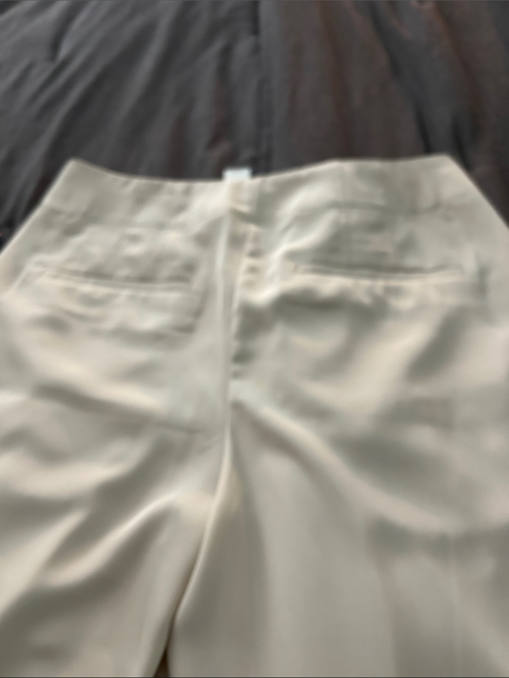 Banana Republic Cream High-Rise Pleated Wide-Leg Pants - Picture 4 of 9